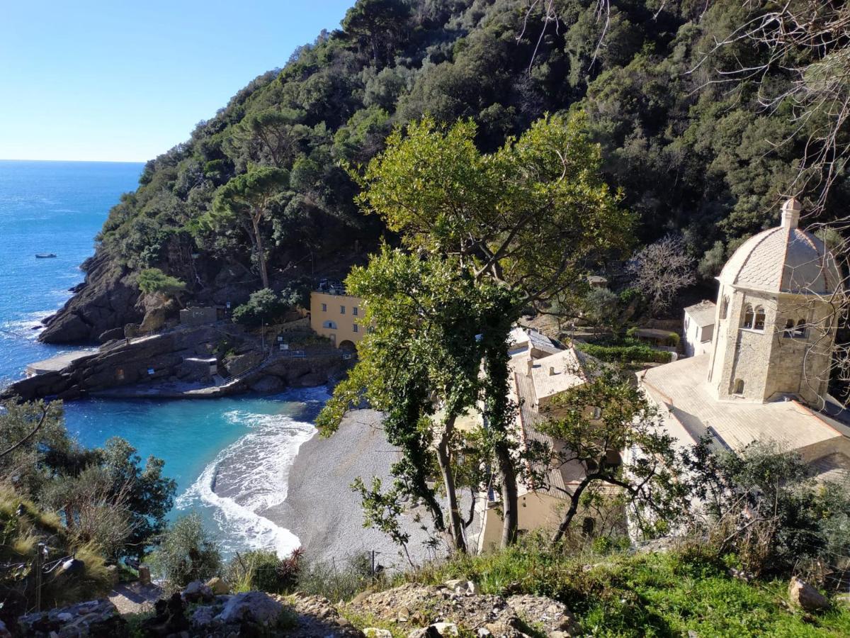 Casaviva - Magical Bilo In Camogli Exterior foto